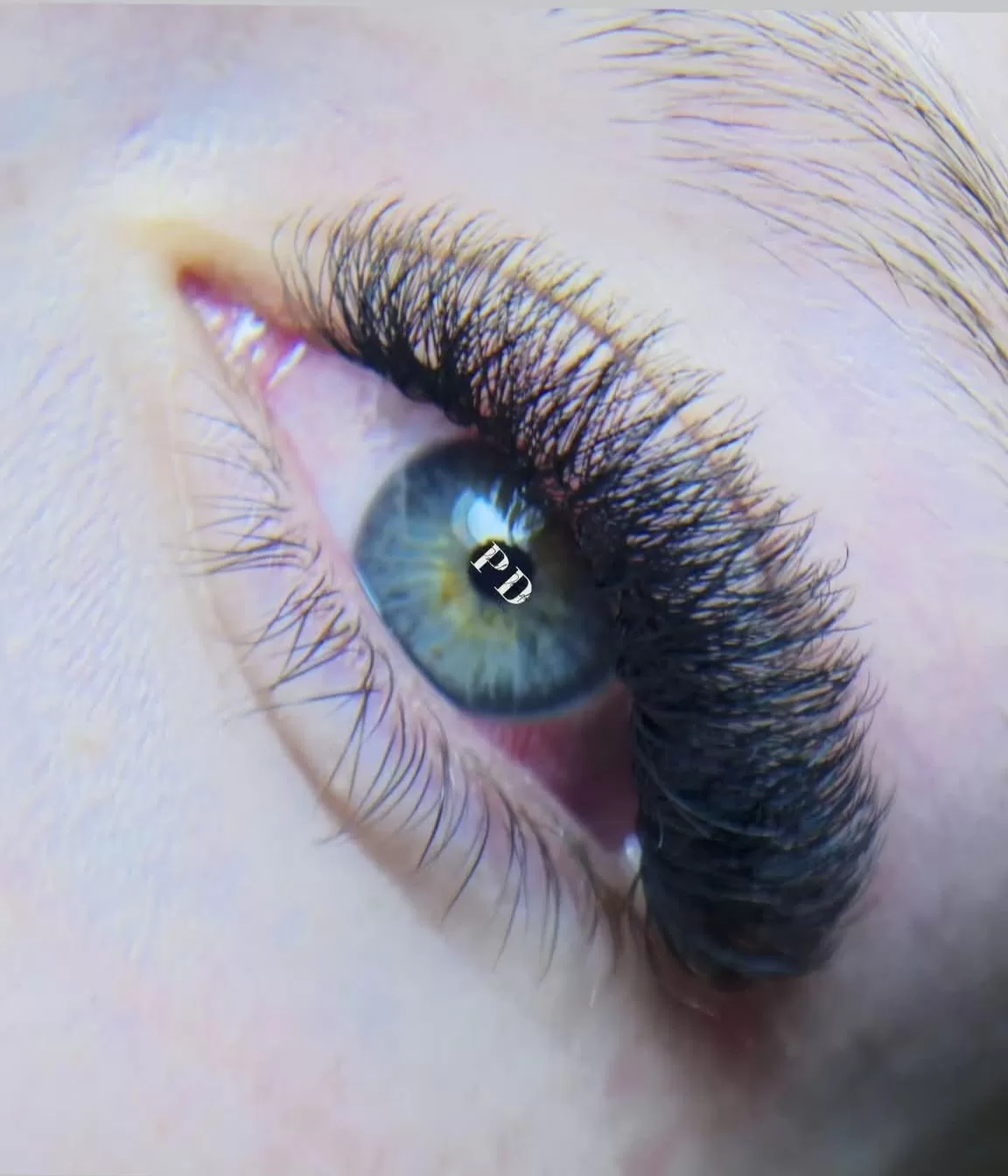 Cat Eye 
